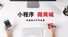 微商将取缔？小程序电商喜迎新春？