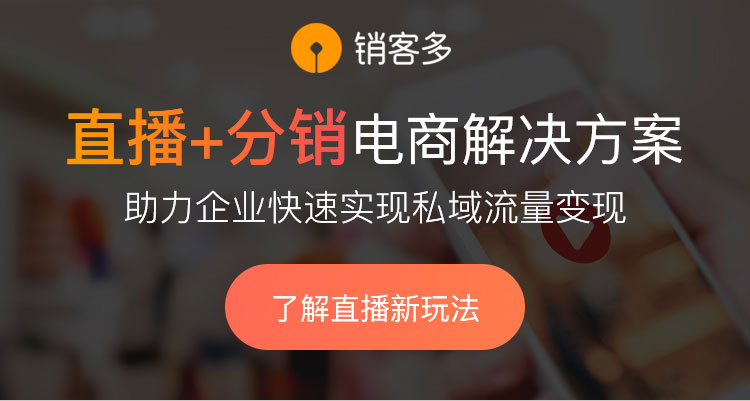 分销系统